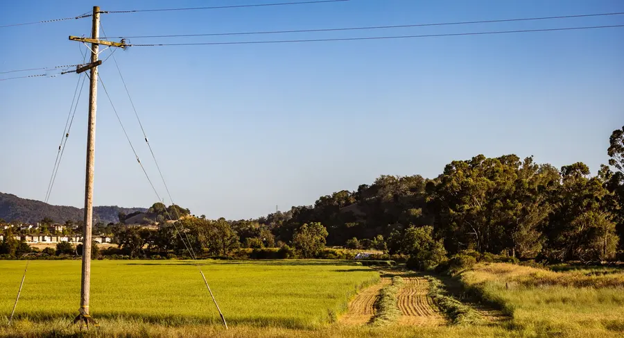 Yeşil tarla kenarında orta gerilim enerji nakil hattı direği